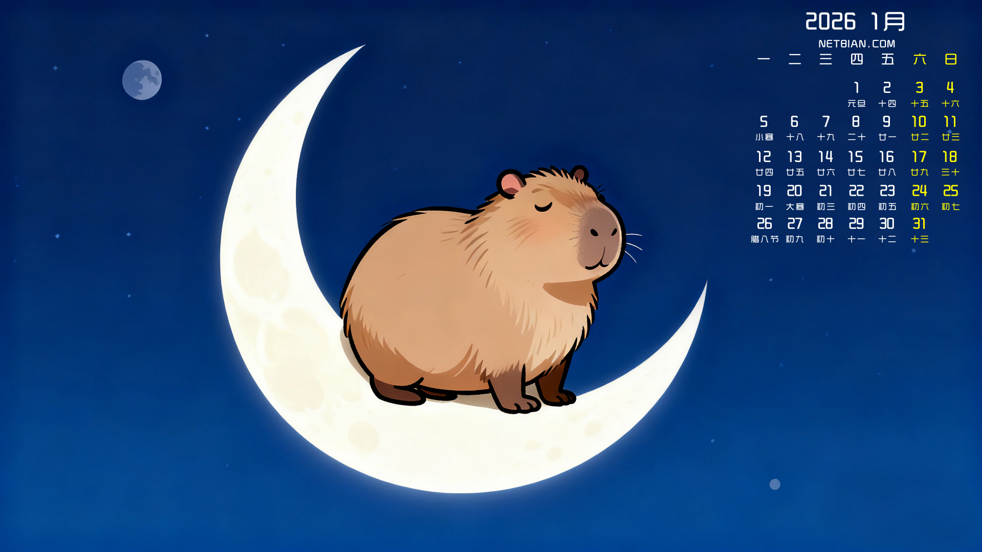 ��Ƥ����2026��1�����������ֽ