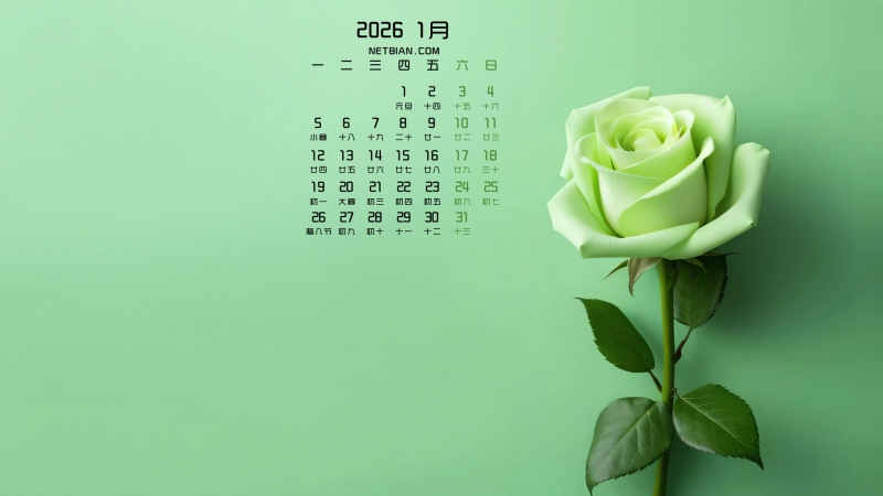 ��ɫõ�廨2026��1�����������ֽ