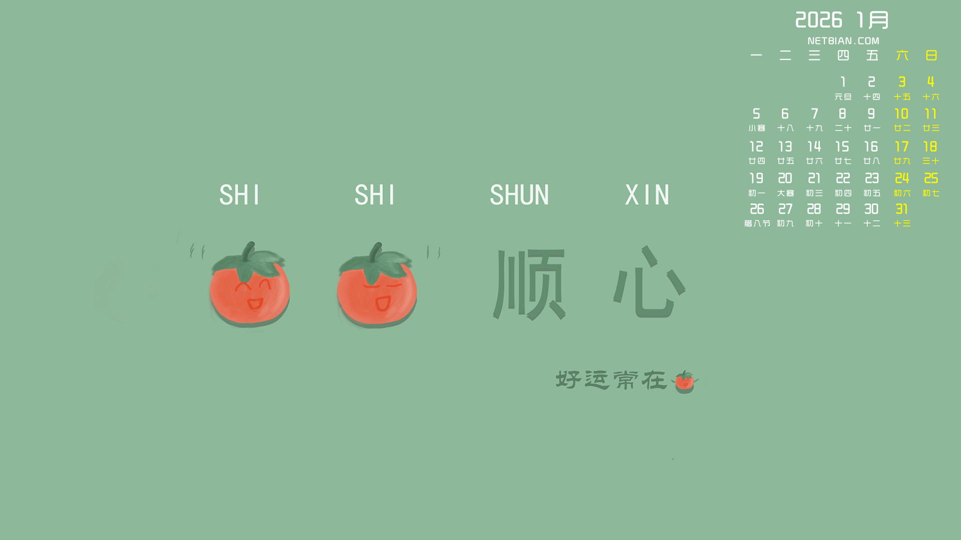 ����˳�� ���˳���2026��1�µ�������������ֽ