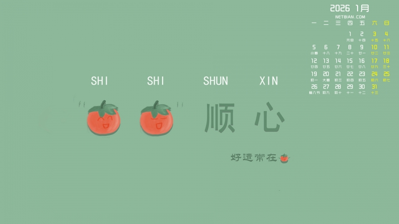 ����˳�� ���˳���2026��1�µ�������������ֽ