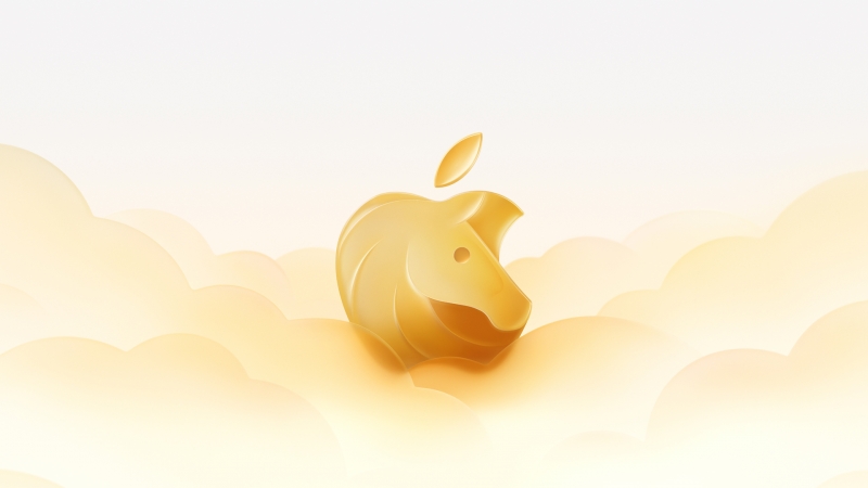 2026��ƻ�������´������ֽ