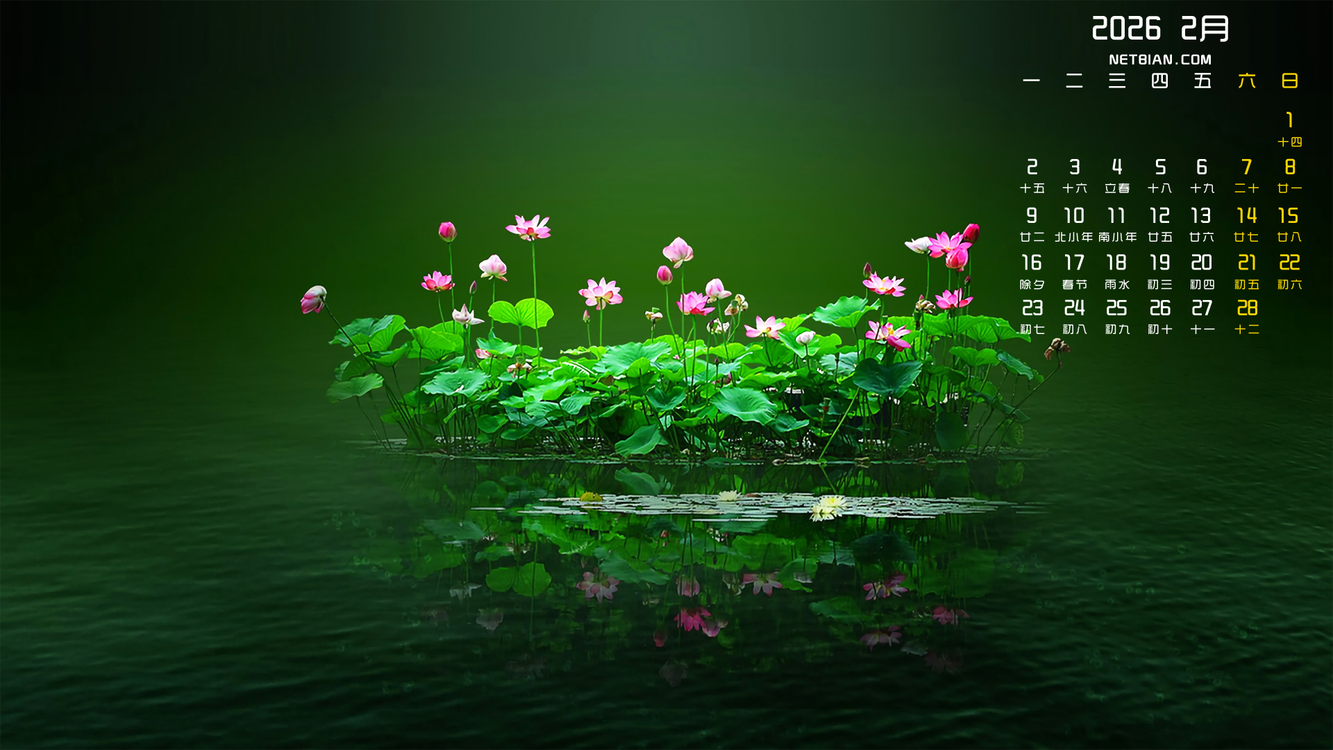 �ɻ�2026��2������������ֽ