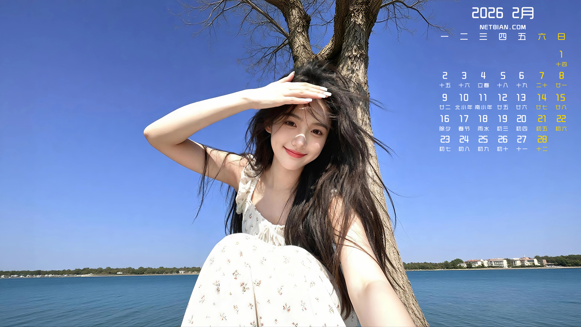 �����Ů2026��2��������ֽ