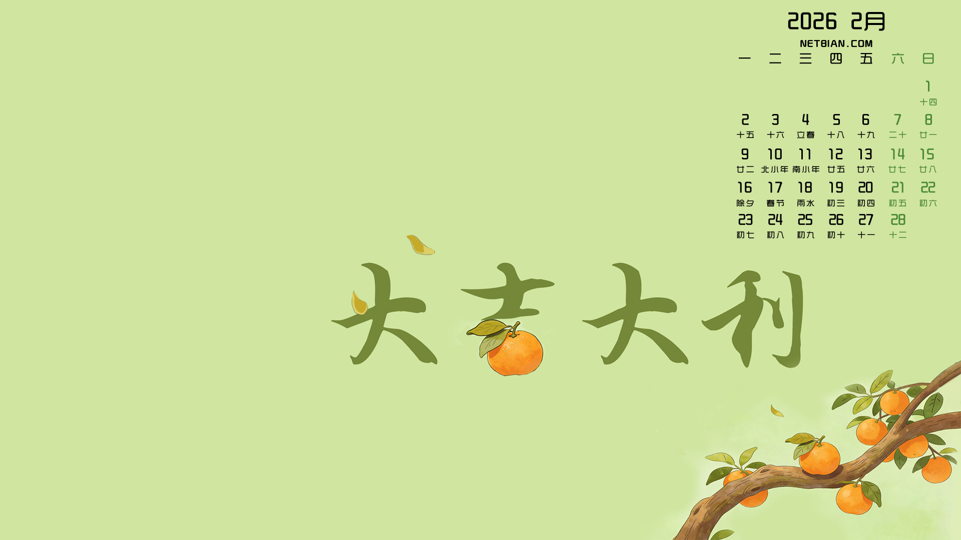 �󼪴���2026��2���������Ա�ֽ����