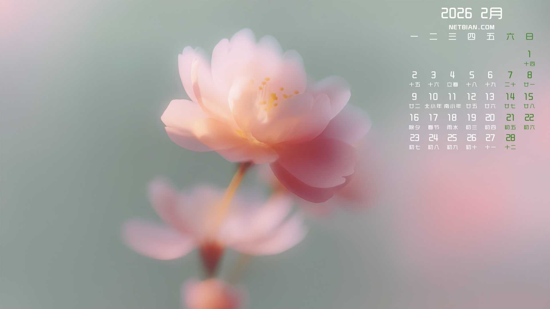 ���ﻨ2026��2��������ֽ��������