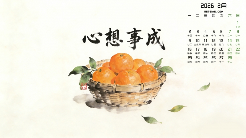 �����³�2026��2�µ�������������ֽ����ȫ��