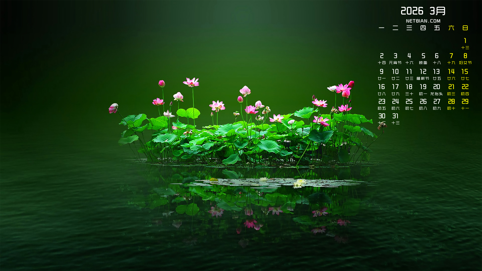 �ɻ�2026��3�µ�������������ֽ