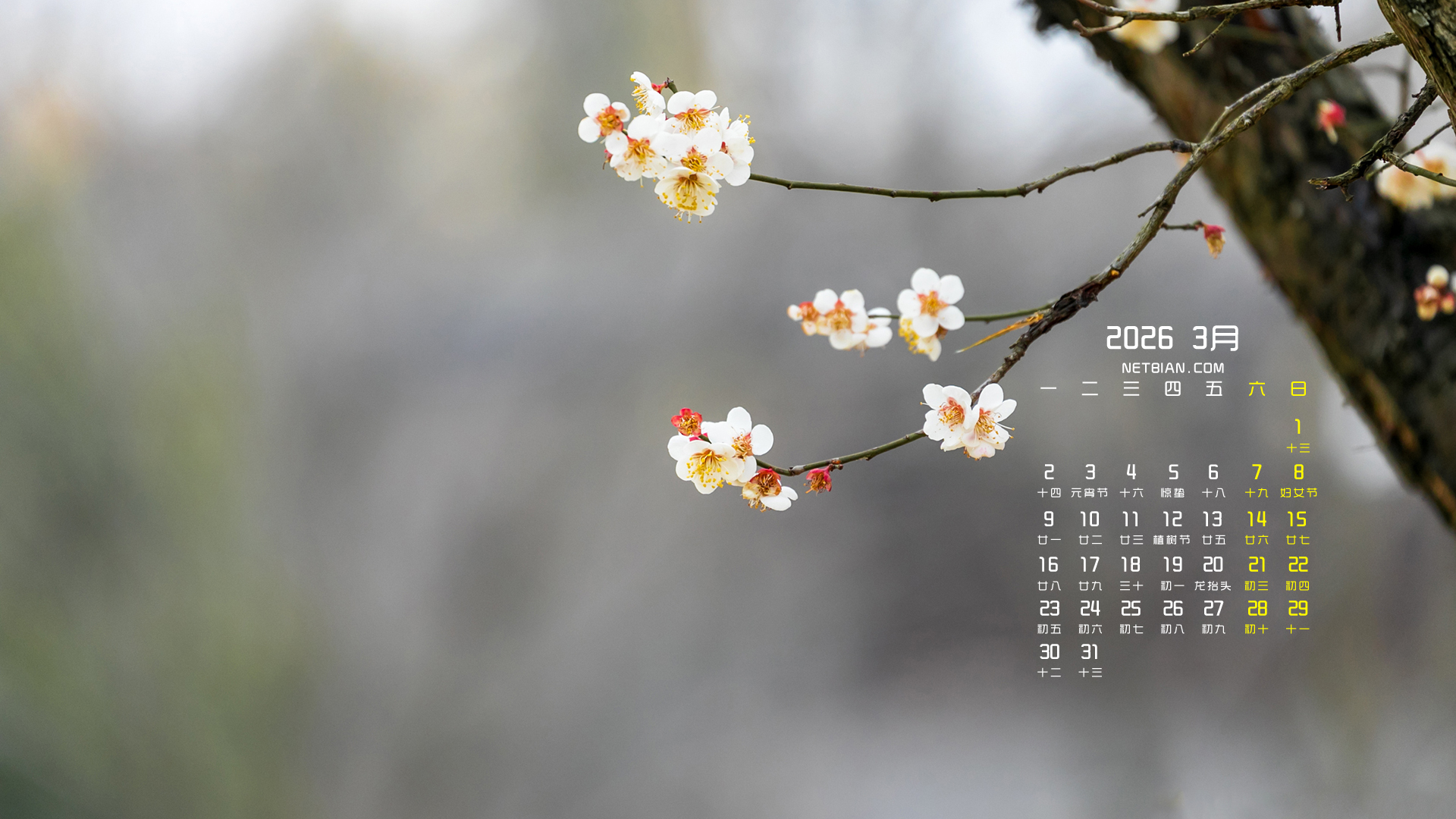 ���컨��2026��3�������羰�����ֽ����