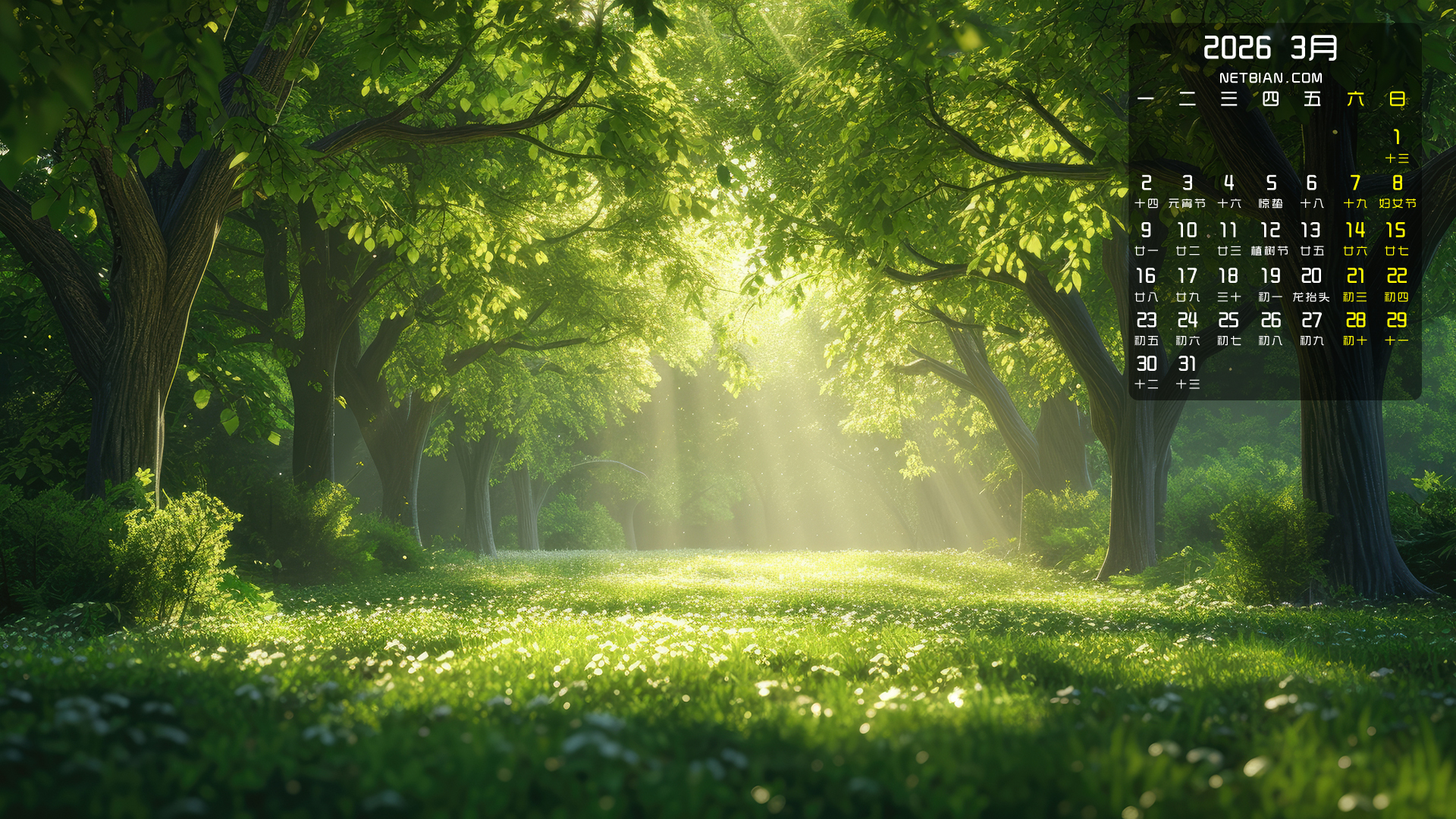 �����������ַ羰2026��3�·����������ֽ����