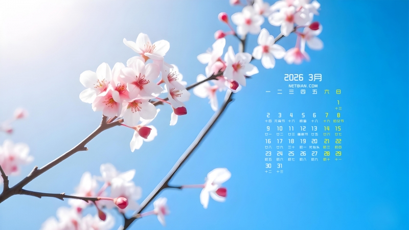 ����2026��3�·羰�������������ֽ