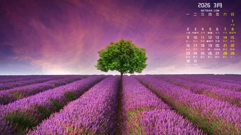 ޹�²ݷ羰2026��3�µ�������������ֽ����