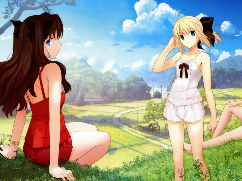 Fate stay night Ůֽ
