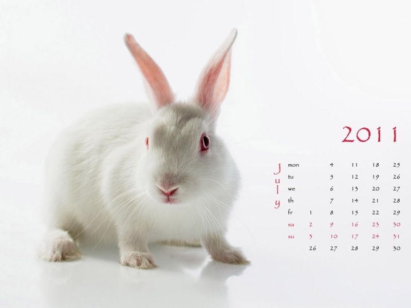 2011年全年兔年日历桌面壁纸