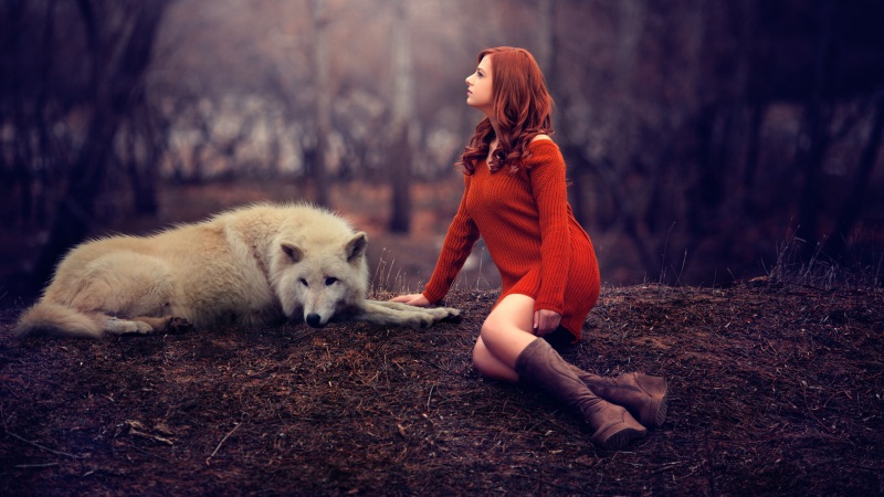 森林,狼,女孩,毛衣,lol电竞下注