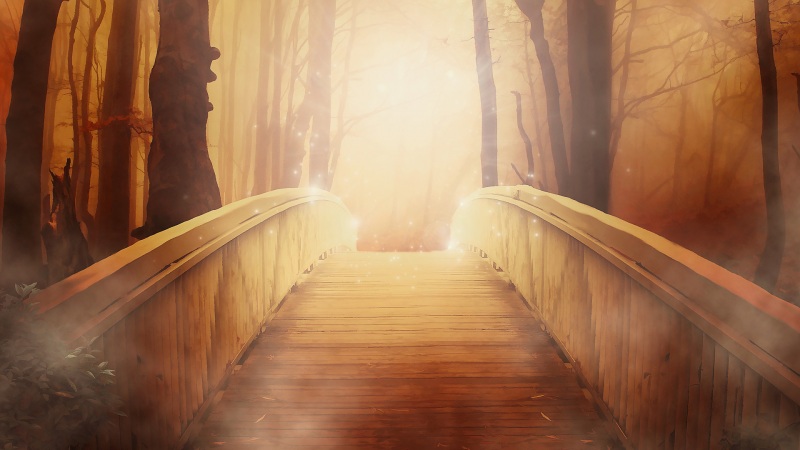 桥 光 神秘 森林 树 路径 桌面壁纸