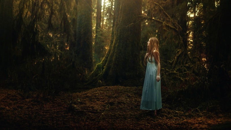 森林,安静的女孩,青蓝色的裙子,意境唯美桌面壁纸