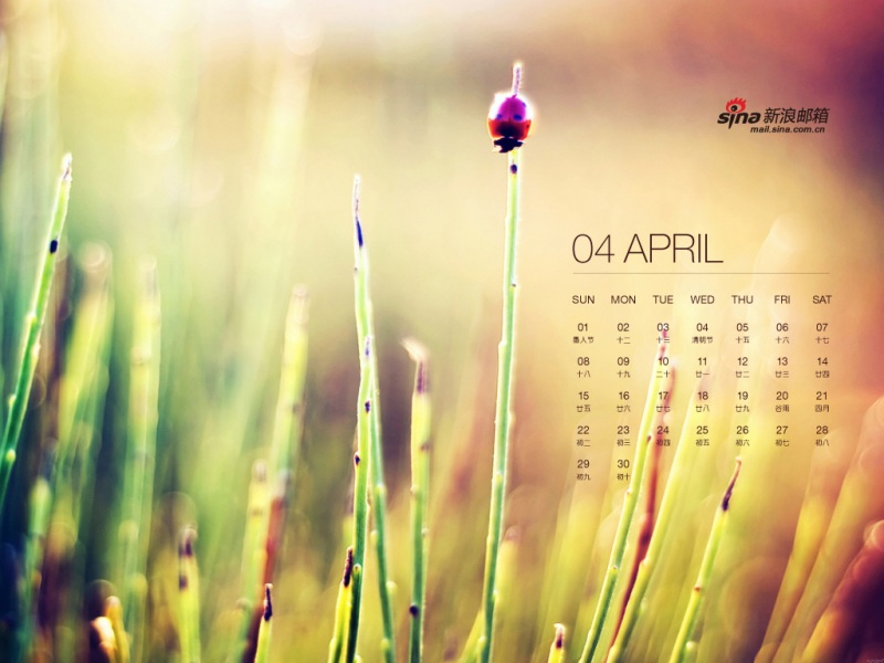 201304ֽ--