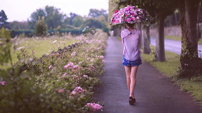树木,街道,女孩背影,鲜花,伞,唯美桌面壁纸