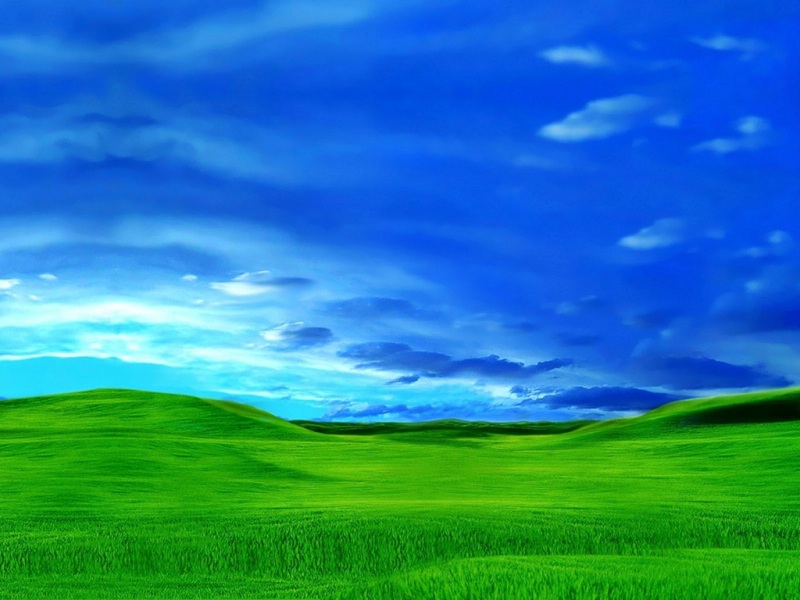 µķ Windows XP ֽ