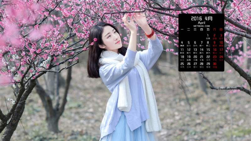 ÷崿Ů20164ֽ