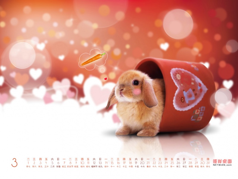 粉可爱小兔兔2011年3月日历桌面壁纸