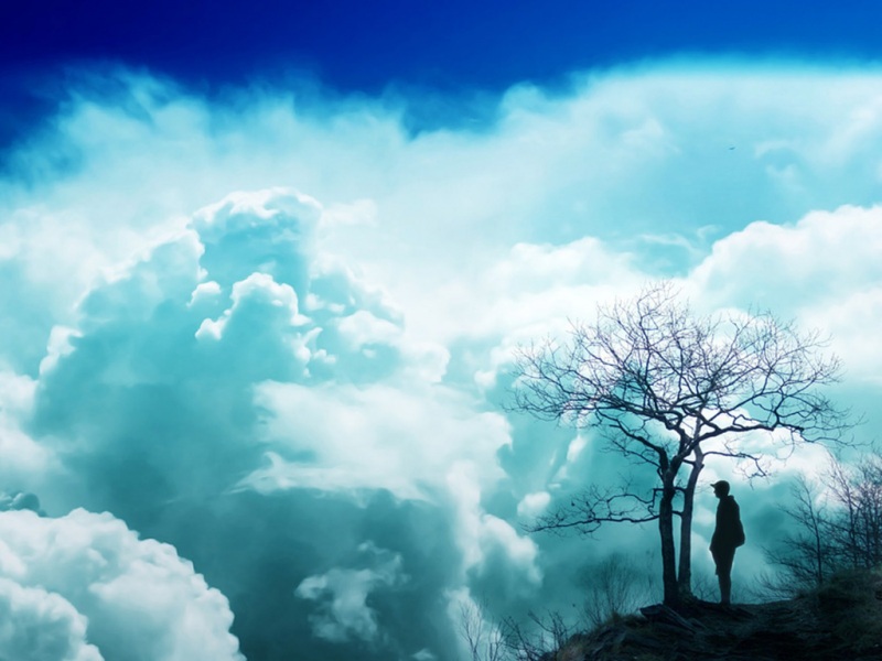 云,梦想,树,一个人,思考,远方,壁纸