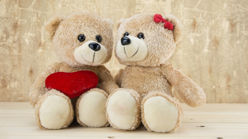 浪漫爱情两个玩具熊桌面壁纸