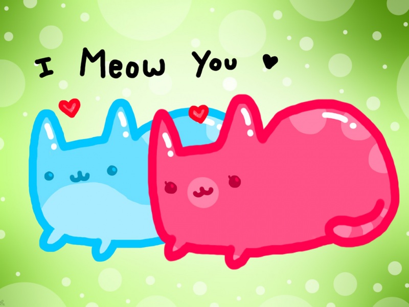 i meow you ҽֽ