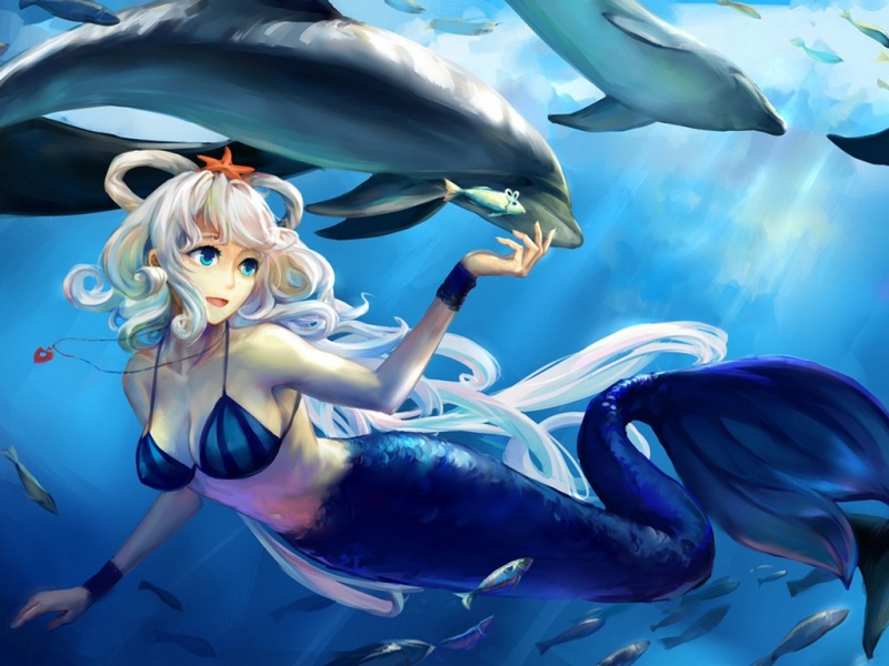 㣬磬࣬㣬ֽ